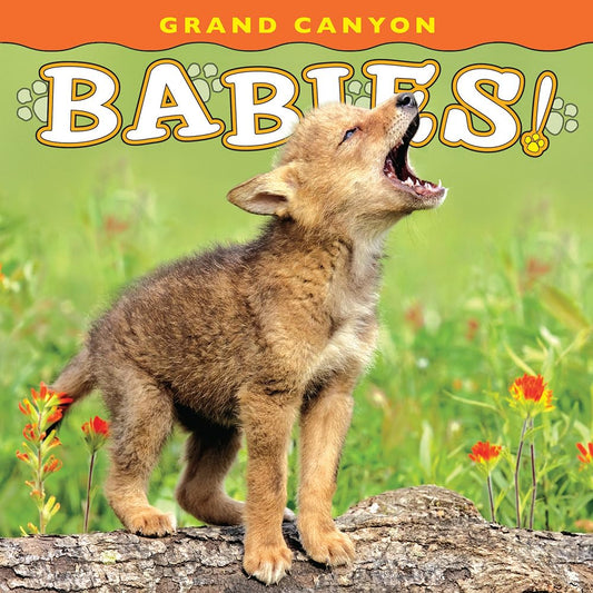Grand Canyon Babies! (Babies! Animal)