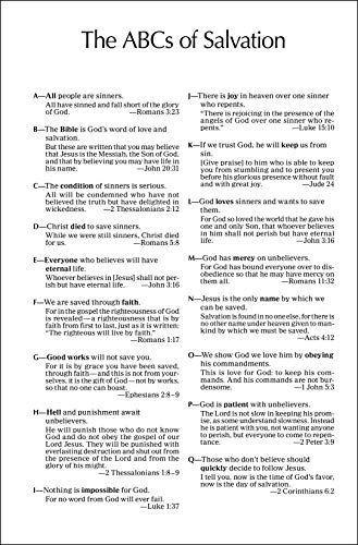 Outreach New Testament: New International Version, Green Forest Path