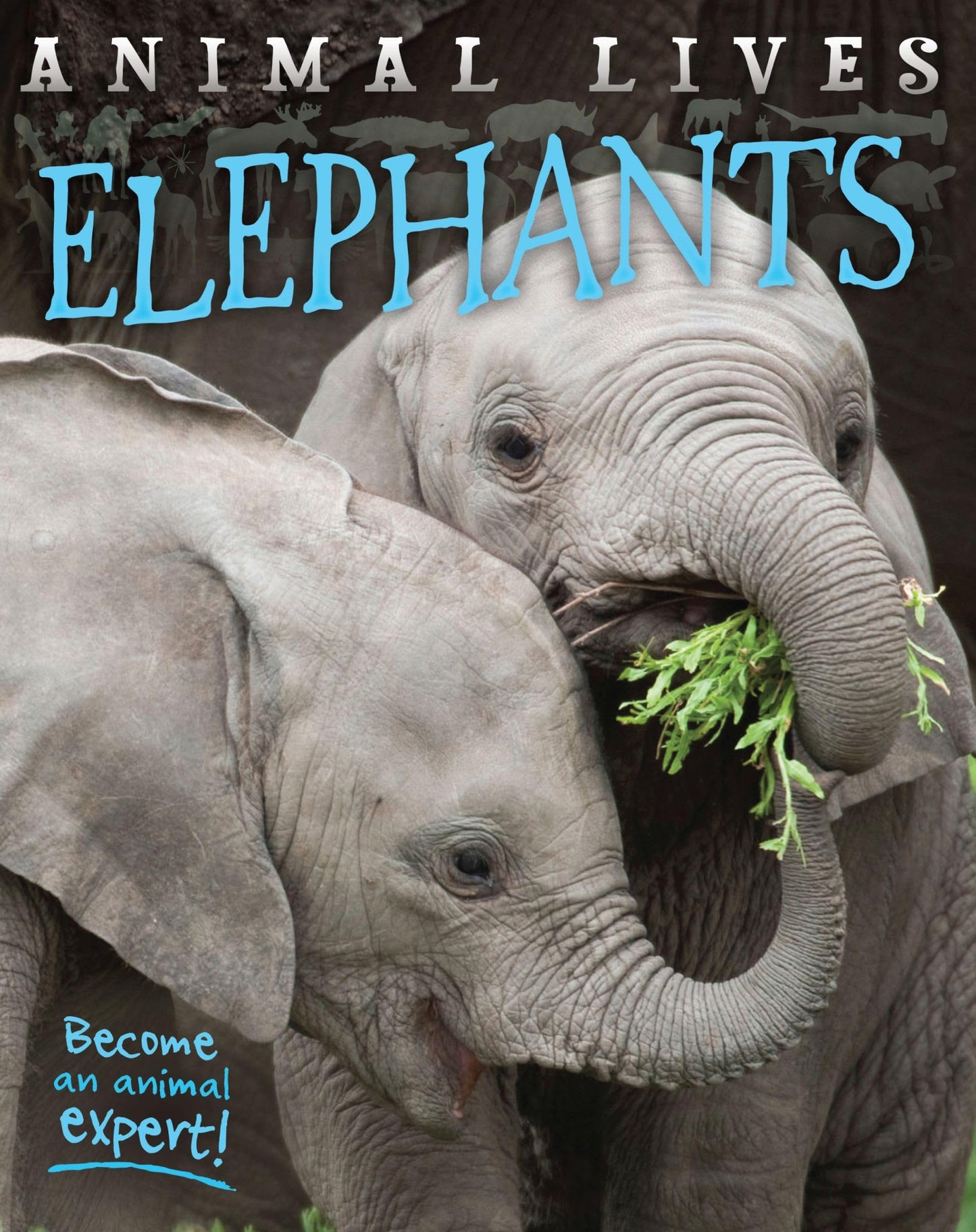 Elephants (Animal Lives)