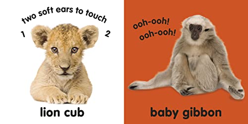 Baby Touch and Feel: Fluffy Animals