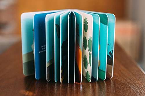 Animals of the Bible (Little Disciple Series)