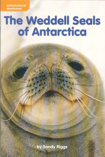 The Weddell Seals (Grade 3 Reading)