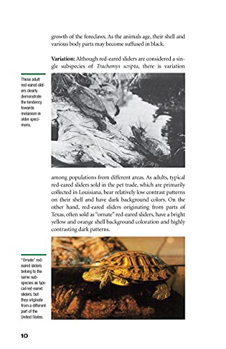 Red-Eared Sliders: From the Experts at Advanced Vivarium Systems (CompanionHouse Books) Choosing a Turtle, Diet, Housing, Breeding, Health, and Painted, Mud, and Musk Turtles