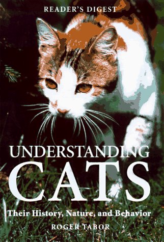 Understanding Cats